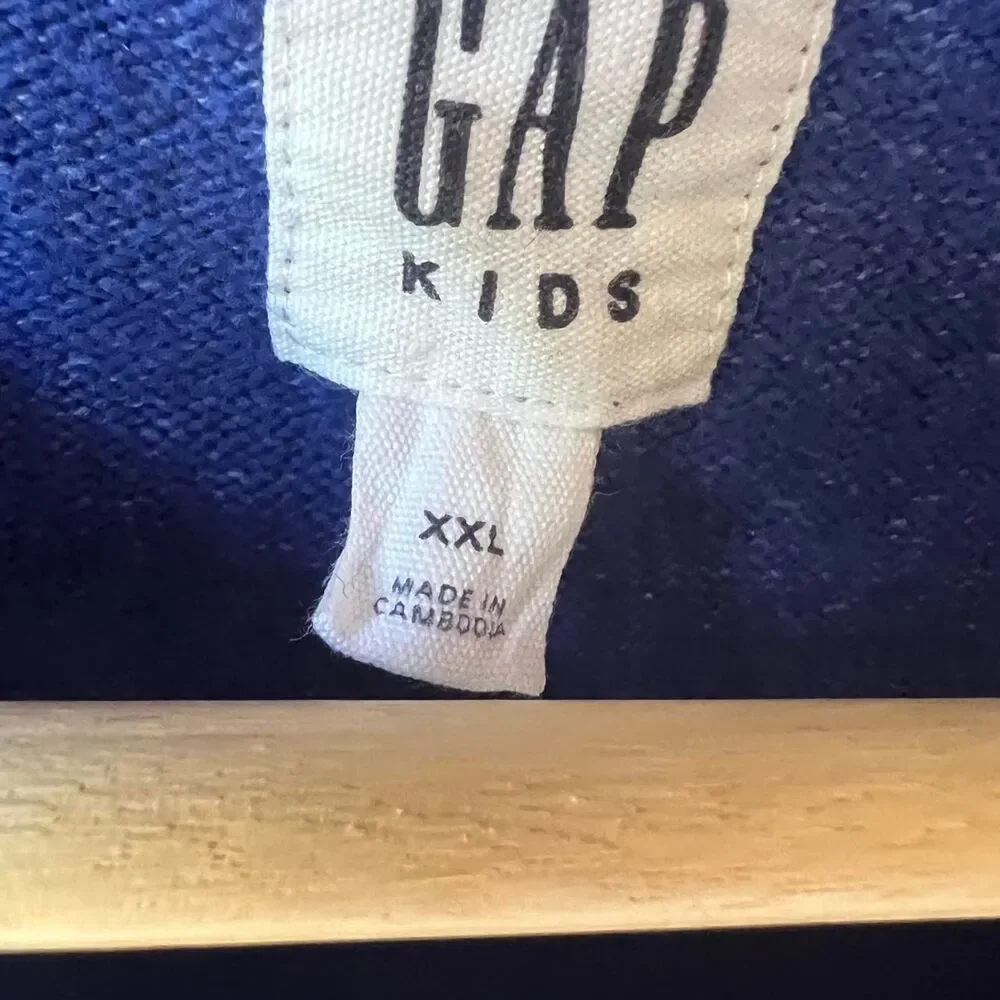 Gap Blue and Purple Jumper